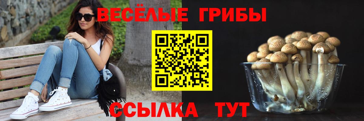 Псилоцибиновые грибы прущие грибы  Наро-Фоминск 